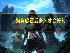 狗狗感冒后多久才会好转
