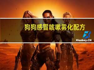 狗狗感冒咳嗽雾化配方