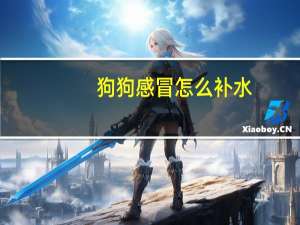 狗狗感冒怎么补水