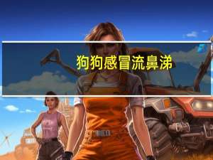 狗狗感冒流鼻涕