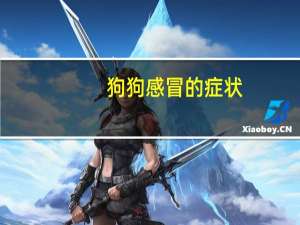 狗狗感冒的症状