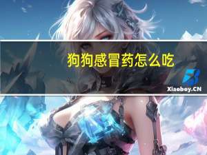 狗狗感冒药怎么吃