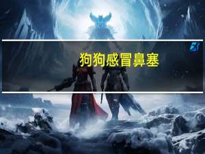 狗狗感冒鼻塞