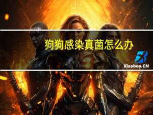 狗狗感染真菌怎么办