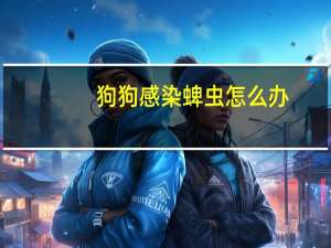 狗狗感染蜱虫怎么办
