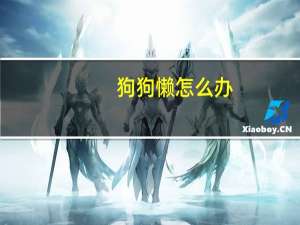 狗狗懒怎么办