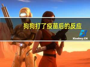 狗狗打了疫苗后的反应