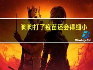狗狗打了疫苗还会得细小