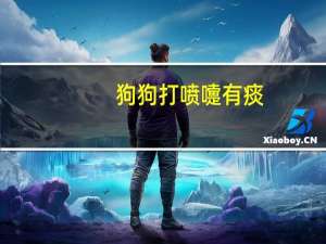 狗狗打喷嚏有痰