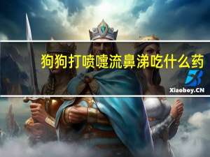 狗狗打喷嚏流鼻涕吃什么药