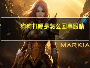 狗狗打嗝是怎么回事眼睛（狗狗打嗝是怎么回事）