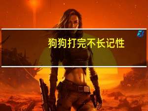 狗狗打完不长记性