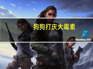 狗狗打庆大霉素