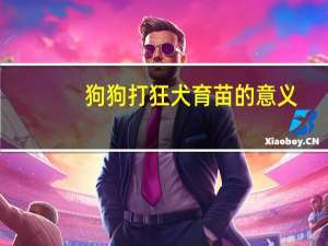 狗狗打狂犬育苗的意义