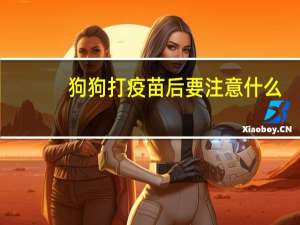 狗狗打疫苗后要注意什么