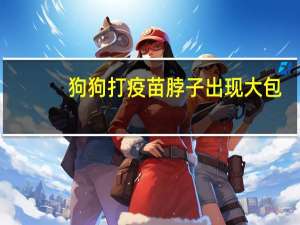狗狗打疫苗脖子出现大包