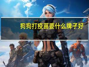 狗狗打疫苗要什么牌子好