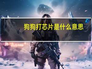 狗狗打芯片是什么意思