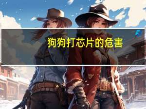 狗狗打芯片的危害