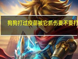 狗狗打过疫苗被它抓伤要不要打针