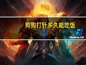 狗狗打针多久能吃饭