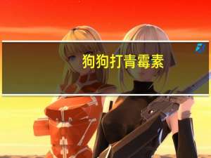狗狗打青霉素