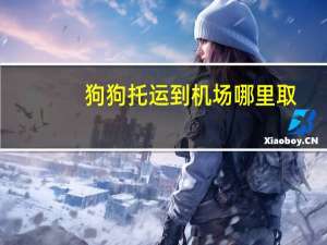 狗狗托运到机场哪里取