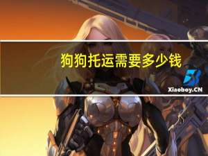 狗狗托运需要多少钱
