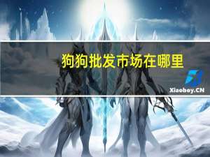 狗狗批发市场在哪里