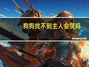 狗狗找不到主人会哭吗