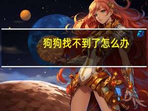 狗狗找不到了怎么办