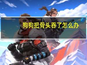 狗狗把骨头吞了怎么办
