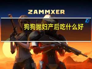 狗狗抛妇产后吃什么好