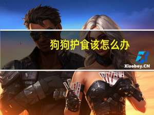 狗狗护食该怎么办