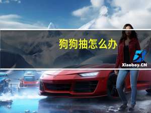 狗狗抽怎么办