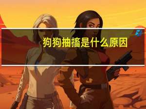 狗狗抽搐是什么原因