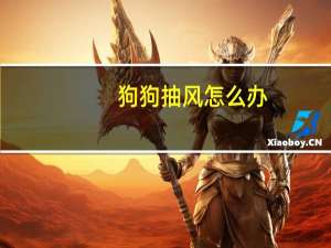 狗狗抽风怎么办