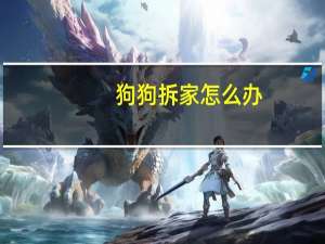 狗狗拆家怎么办