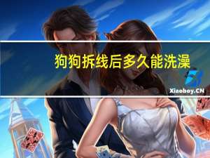 狗狗拆线后多久能洗澡