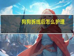 狗狗拆线后怎么护理