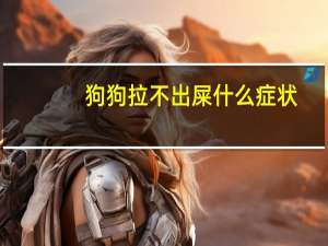 狗狗拉不出屎什么症状