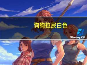 狗狗拉尿白色