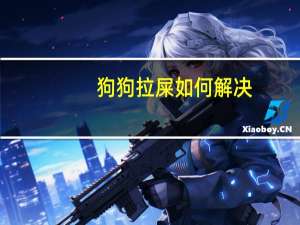 狗狗拉屎如何解决