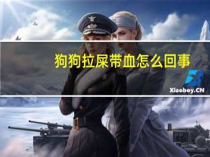 狗狗拉屎带血怎么回事