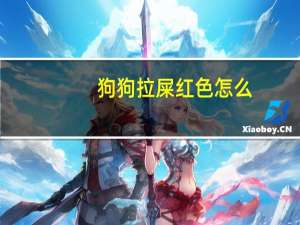 狗狗拉屎红色怎么