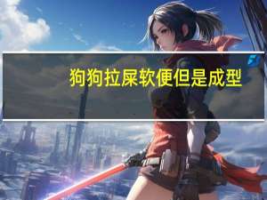 狗狗拉屎软便但是成型