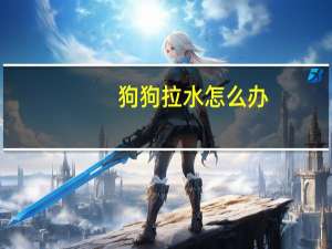 狗狗拉水怎么办