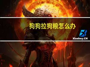 狗狗拉狗粮怎么办