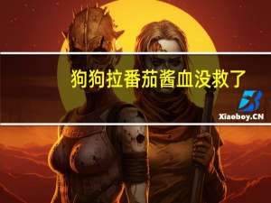 狗狗拉番茄酱血没救了