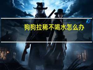 狗狗拉稀不喝水怎么办